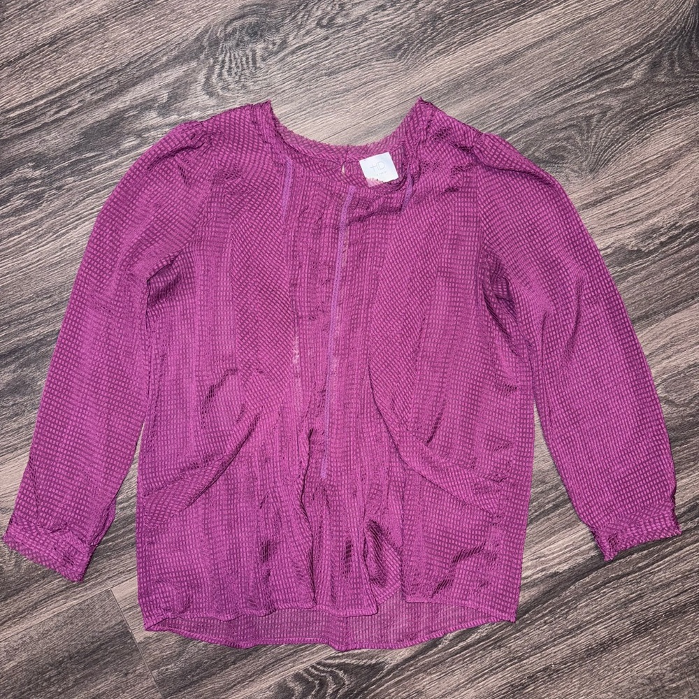 HD in Paris Anthropologie Thistleberry Ruffle Blouse Top